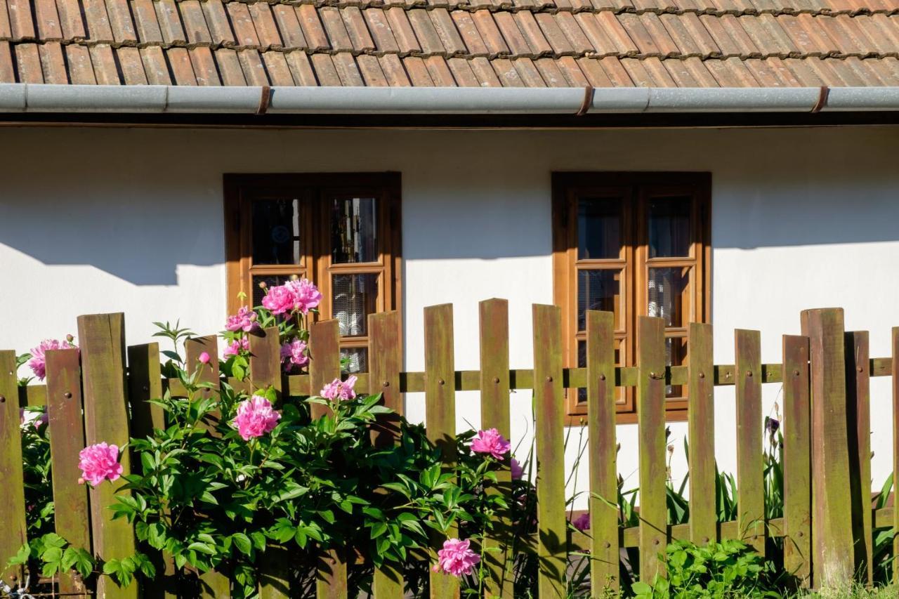 Lóci Palócház Villa Nagyloc Kültér fotó