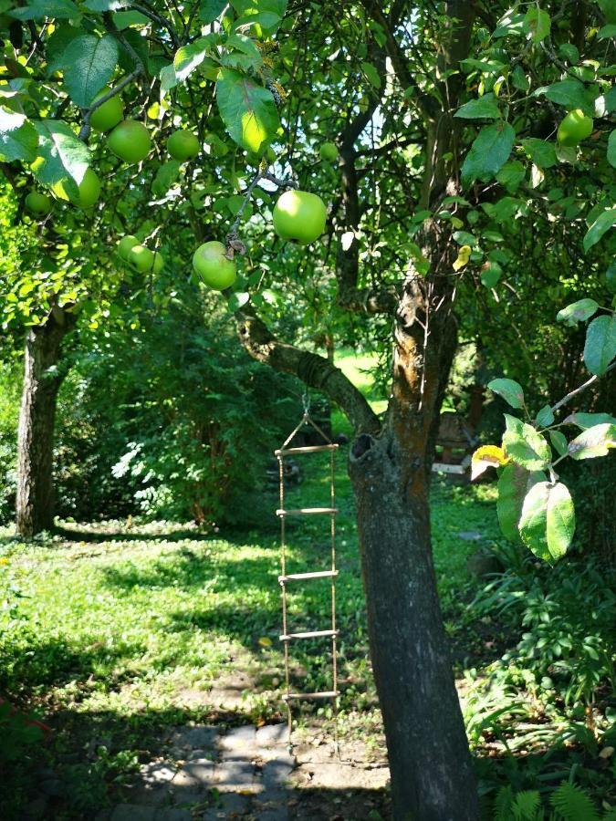 Lóci Palócház Villa Nagyloc Kültér fotó