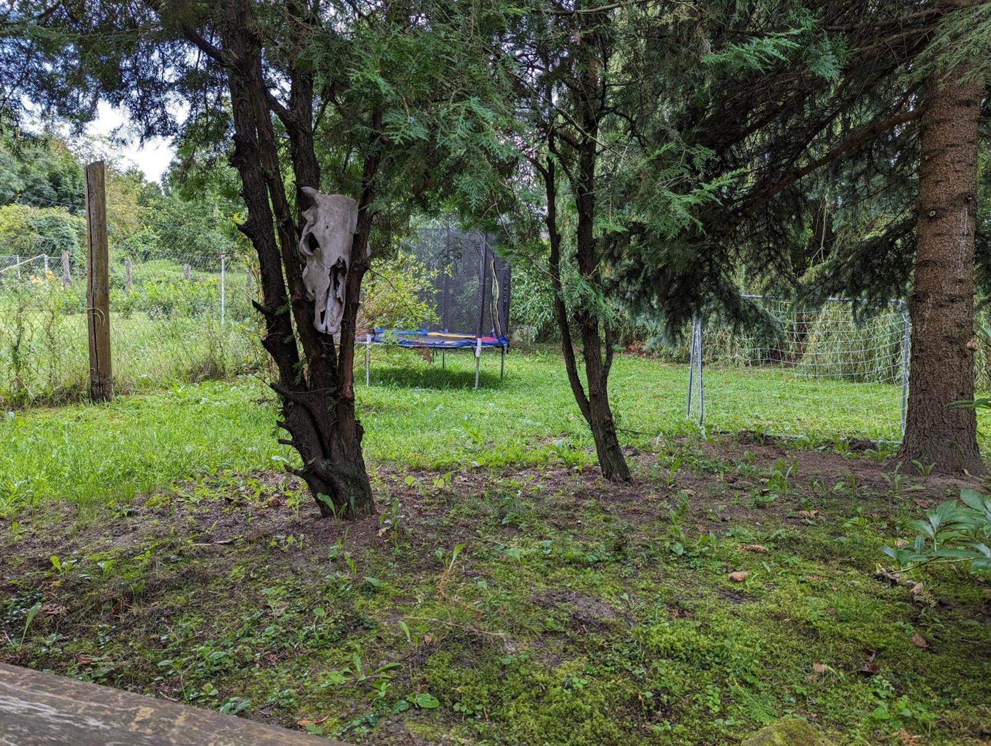 Lóci Palócház Villa Nagyloc Kültér fotó